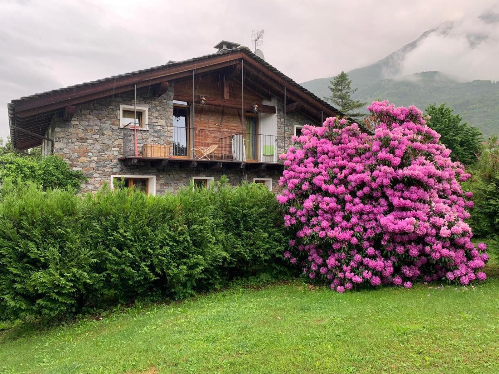 Casa Unica- da Bruno Colico Exterior foto